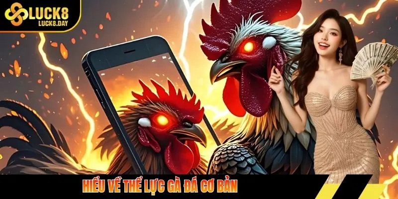 Hiểu về thể lực gà đá cơ bản 