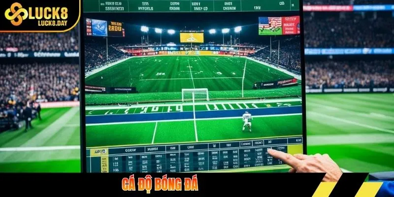 Cá độ bóng đá